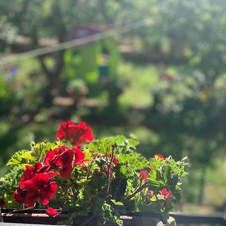 Apartman Dalija Vinkuran Bagian luar foto