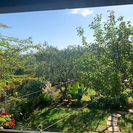 Apartman Dalija Vinkuran Bagian luar foto